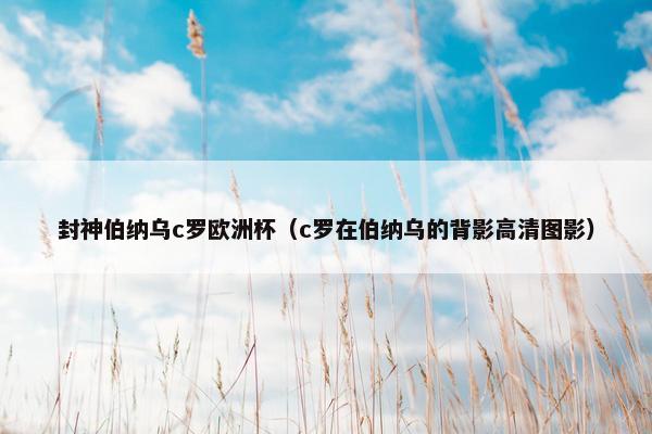 封神伯纳乌c罗欧洲杯（c罗在伯纳乌的背影高清图影）