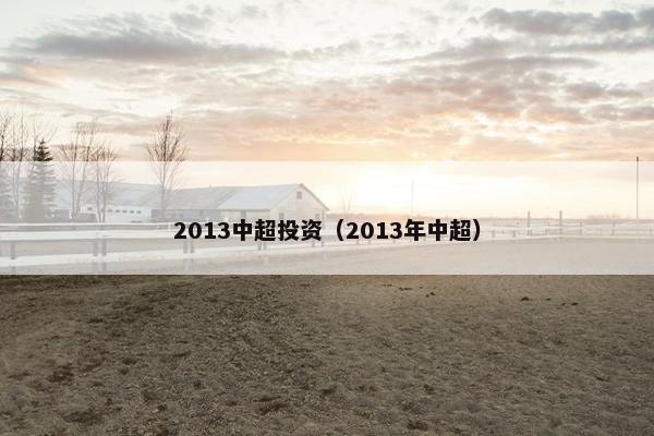 2013中超投资（2013年中超）