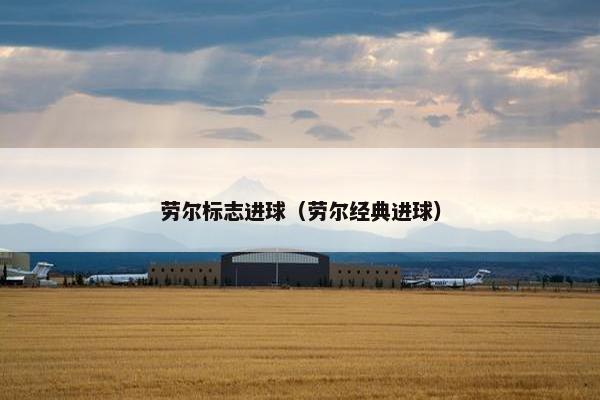 劳尔标志进球（劳尔经典进球）