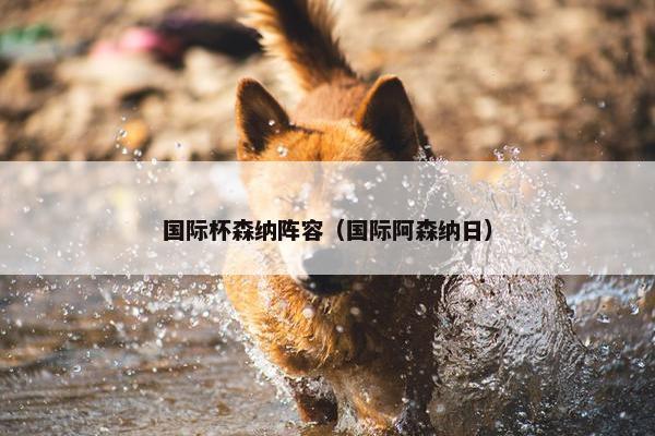 国际杯森纳阵容（国际阿森纳日）
