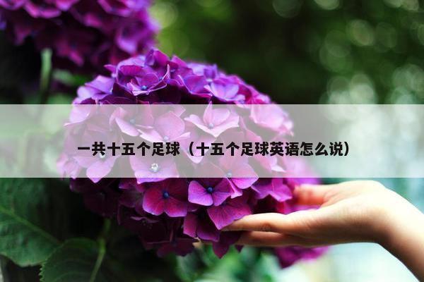 一共十五个足球（十五个足球英语怎么说）