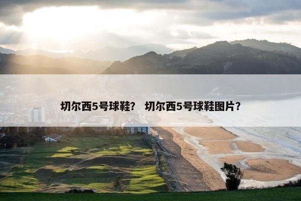 切尔西5号球鞋？ 切尔西5号球鞋图片？