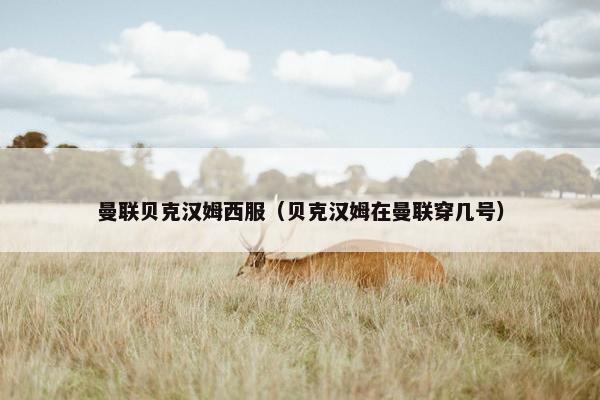曼联贝克汉姆西服（贝克汉姆在曼联穿几号）
