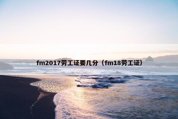 fm2017劳工证要几分（fm18劳工证）
