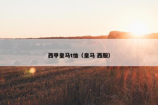 西甲皇马t恤（皇马 西服）