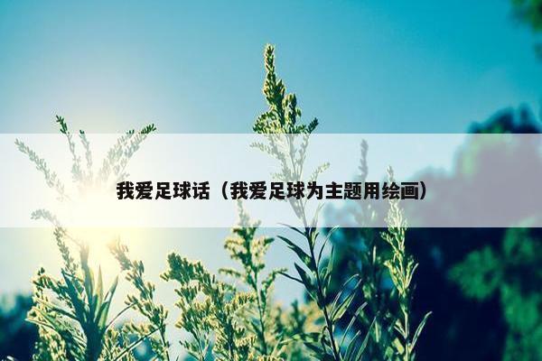 我爱足球话（我爱足球为主题用绘画）