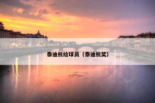 泰迪熊给球员（泰迪熊奖）
