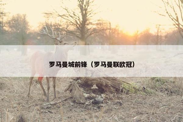 罗马曼城前锋（罗马曼联欧冠）