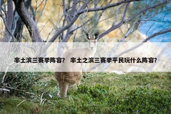 率土滨三赛季阵容？ 率土之滨三赛季平民玩什么阵容？