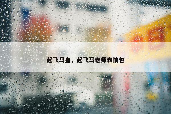 起飞马皇，起飞马老师表情包
