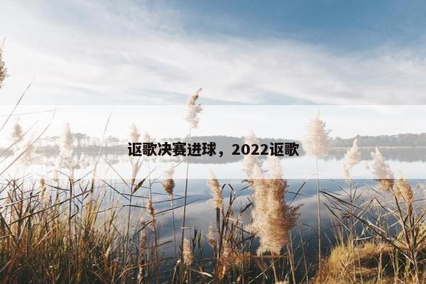 讴歌决赛进球，2022讴歌