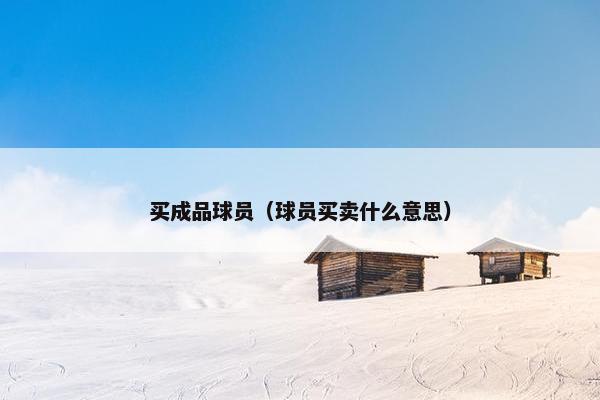买成品球员（球员买卖什么意思）