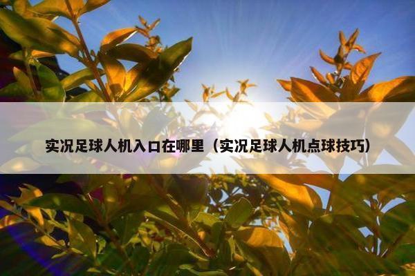 实况足球人机入口在哪里（实况足球人机点球技巧）
