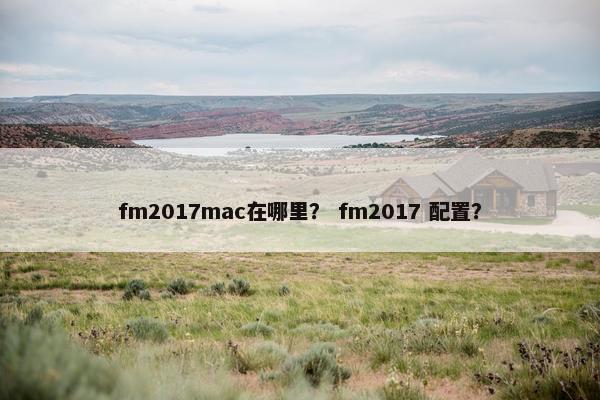 fm2017mac在哪里？ fm2017 配置？