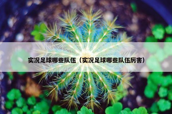 实况足球哪些队伍（实况足球哪些队伍厉害）