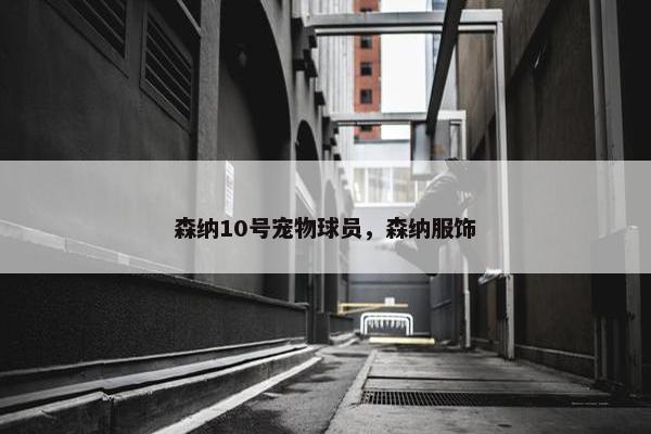 森纳10号宠物球员，森纳服饰