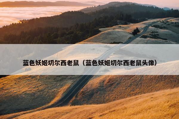 蓝色妖姬切尔西老鼠（蓝色妖姬切尔西老鼠头像）
