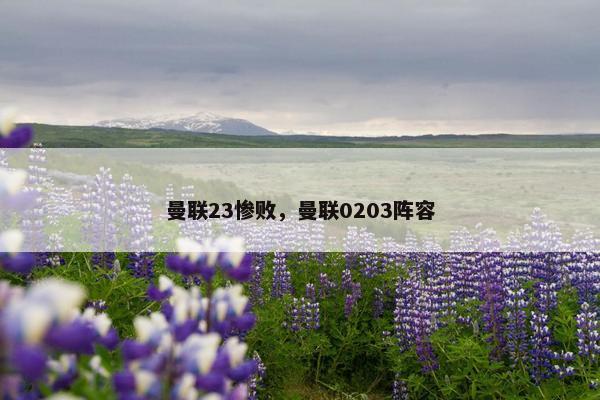 曼联23惨败，曼联0203阵容
