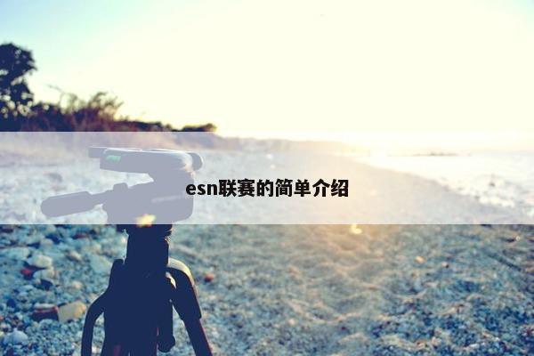 esn联赛的简单介绍