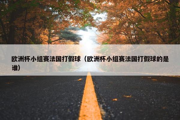 欧洲杯小组赛法国打假球（欧洲杯小组赛法国打假球的是谁）