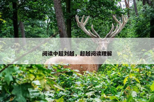 阅读中超刘越，超越阅读理解