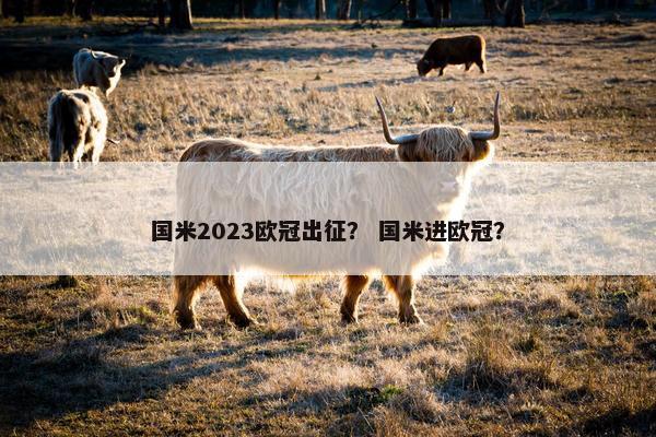 国米2023欧冠出征？ 国米进欧冠？