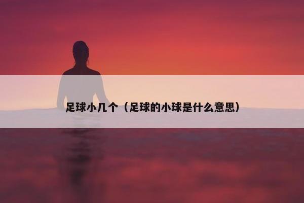 足球小几个（足球的小球是什么意思）