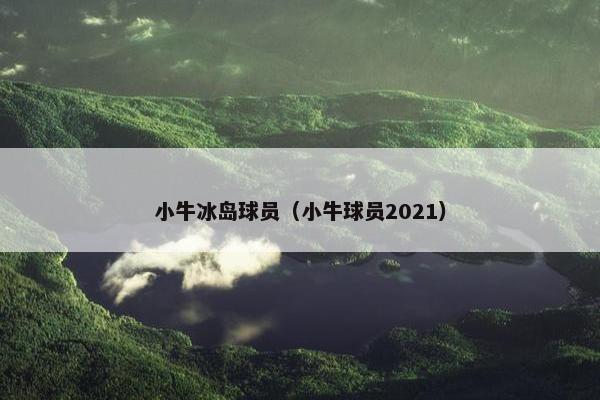 小牛冰岛球员（小牛球员2021）