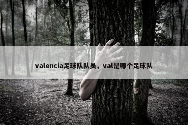 valencia足球队队员，val是哪个足球队