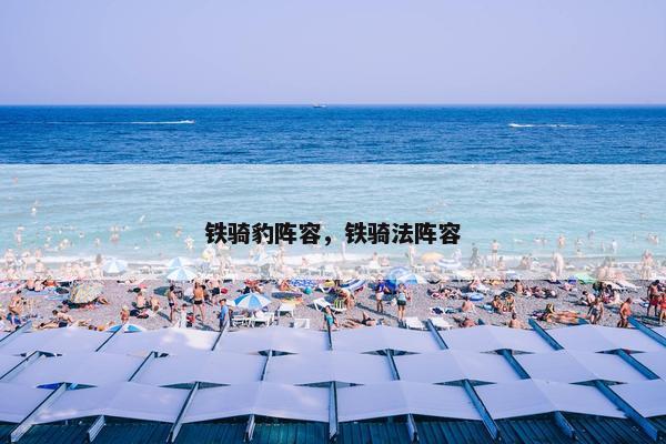 铁骑豹阵容，铁骑法阵容