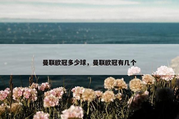 曼联欧冠多少球，曼联欧冠有几个
