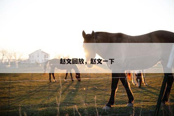 赵文回放，赵文一下