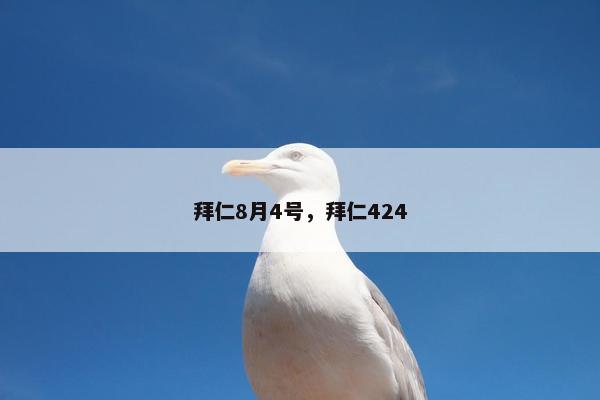 拜仁8月4号，拜仁424