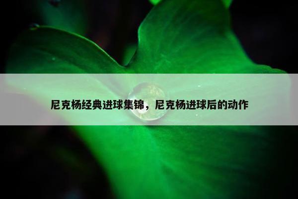 尼克杨经典进球集锦，尼克杨进球后的动作