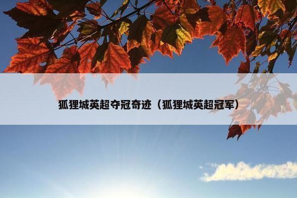狐狸城英超夺冠奇迹（狐狸城英超冠军）