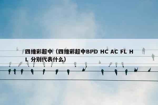 四维彩超中（四维彩超中BPD HC AC FL HL 分别代表什么）