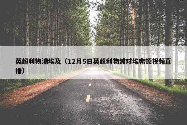 英超利物浦埃及（12月5日英超利物浦对埃弗顿视频直播）