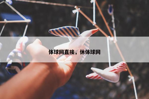 体球网直接，休体球网