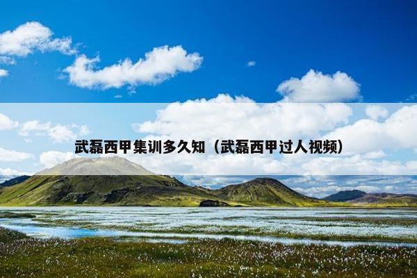 武磊西甲集训多久知（武磊西甲过人视频）