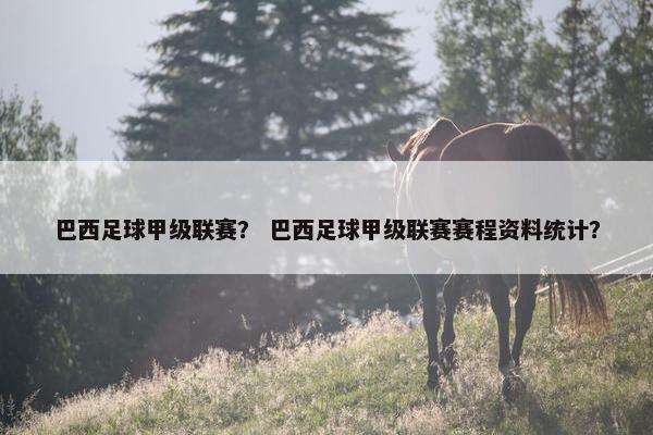 巴西足球甲级联赛？ 巴西足球甲级联赛赛程资料统计？