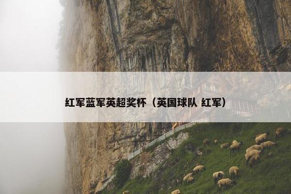 红军蓝军英超奖杯（英国球队 红军）
