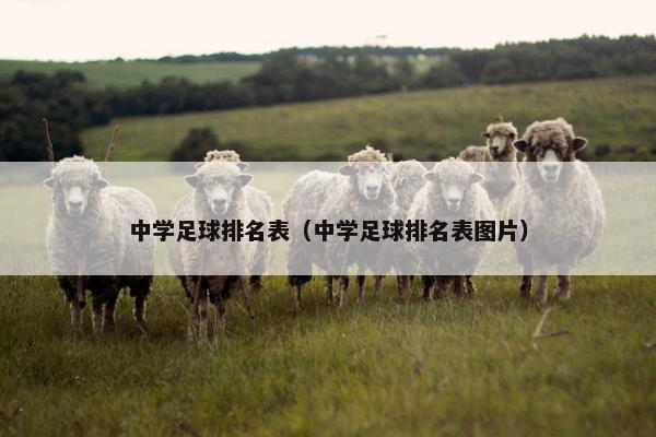 中学足球排名表（中学足球排名表图片）