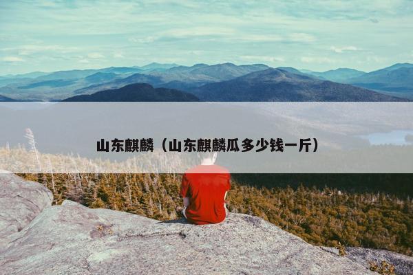 山东麒麟（山东麒麟瓜多少钱一斤）
