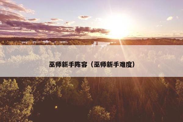 巫师新手阵容（巫师新手难度）