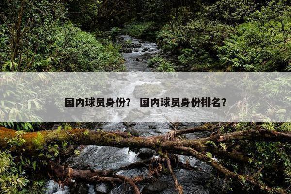 国内球员身份？ 国内球员身份排名？