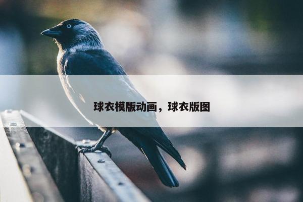 球衣模版动画，球衣版图