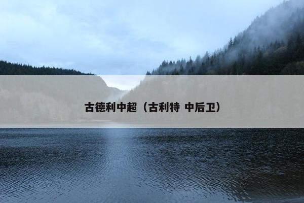 古德利中超（古利特 中后卫）