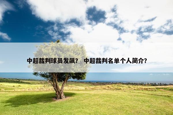 中超裁判球员发飙？ 中超裁判名单个人简介？