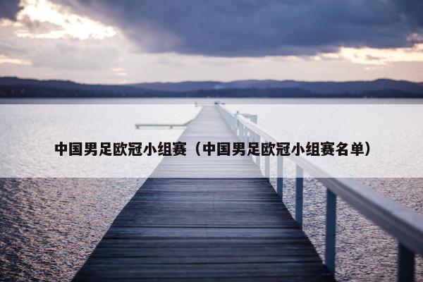 中国男足欧冠小组赛（中国男足欧冠小组赛名单）