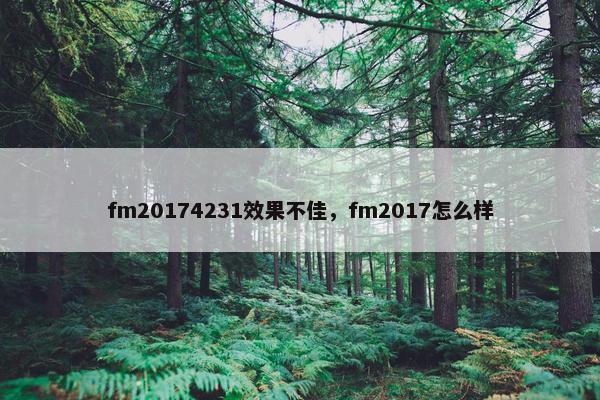 fm20174231效果不佳，fm2017怎么样